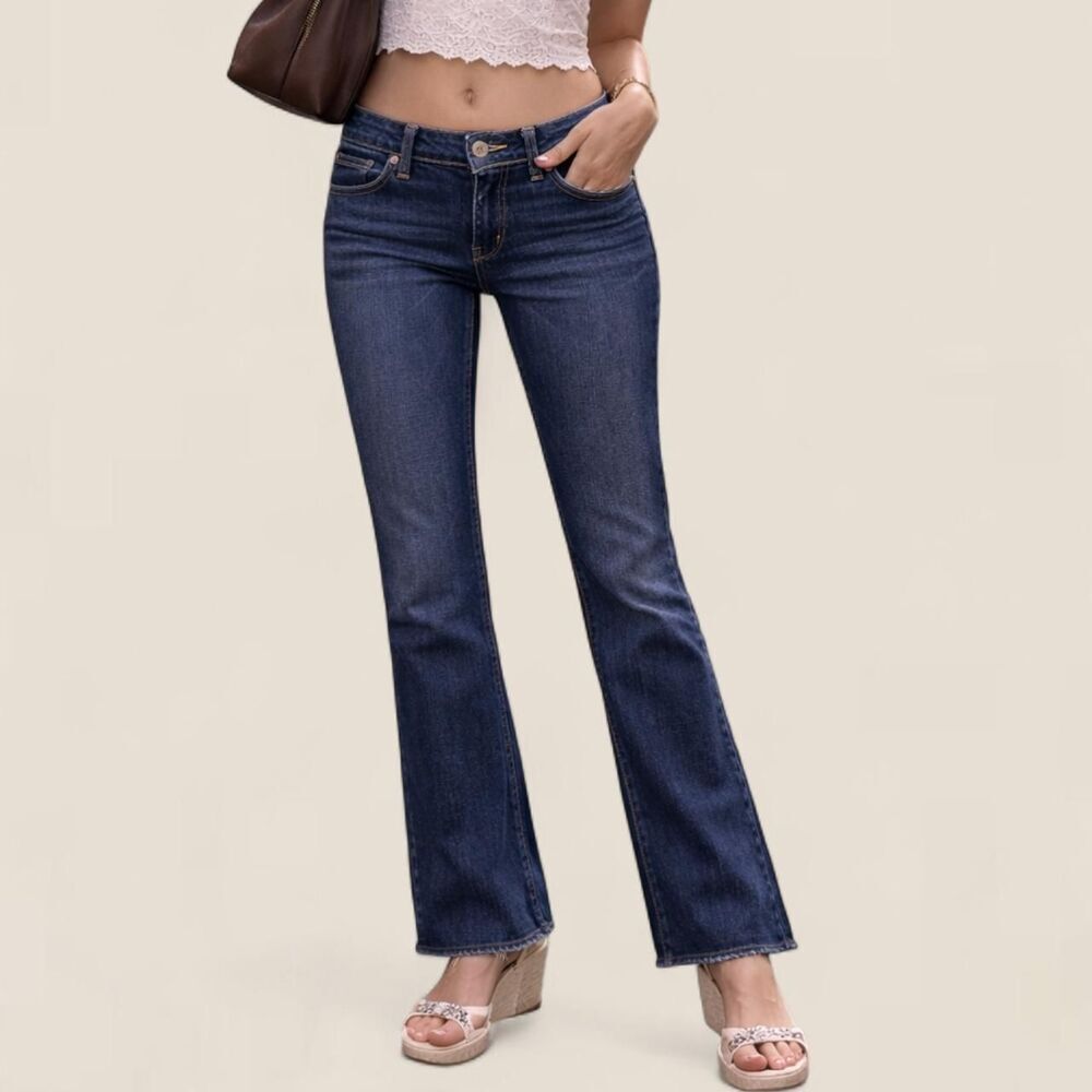 American Eagle Y2K Low Rise Artist Jeans |  size 0 Raw Hem Indie Sleaze